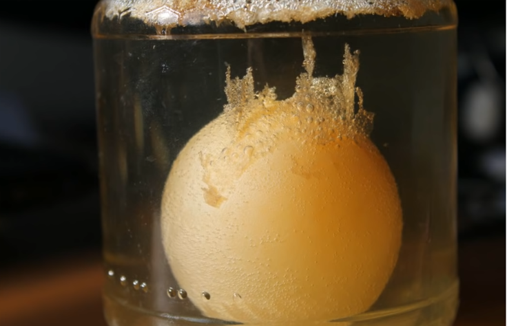 Uovo nell'aceto - Il nostro video