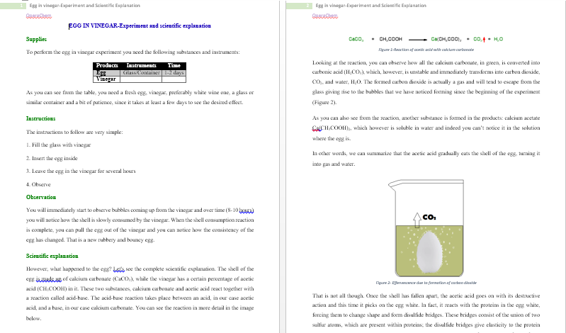 Egg in vinegar-Experiment and scientific explanation-pdf - Image 2