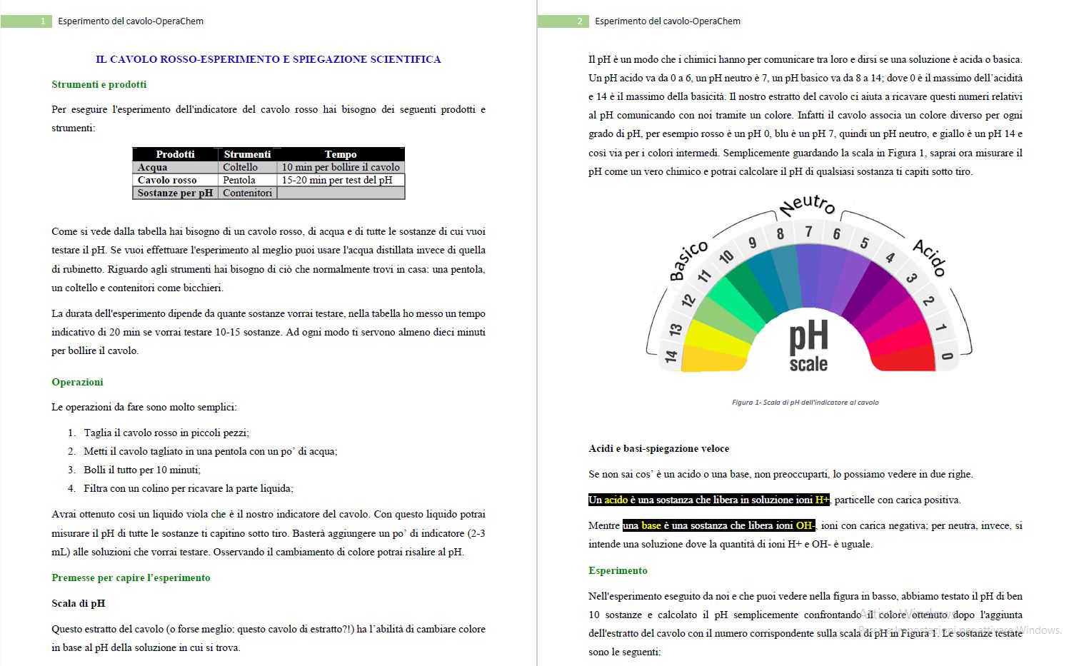 Esperimento del cavolo-docx - immagine 2