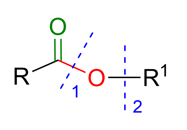 Formazione esteri-PDF