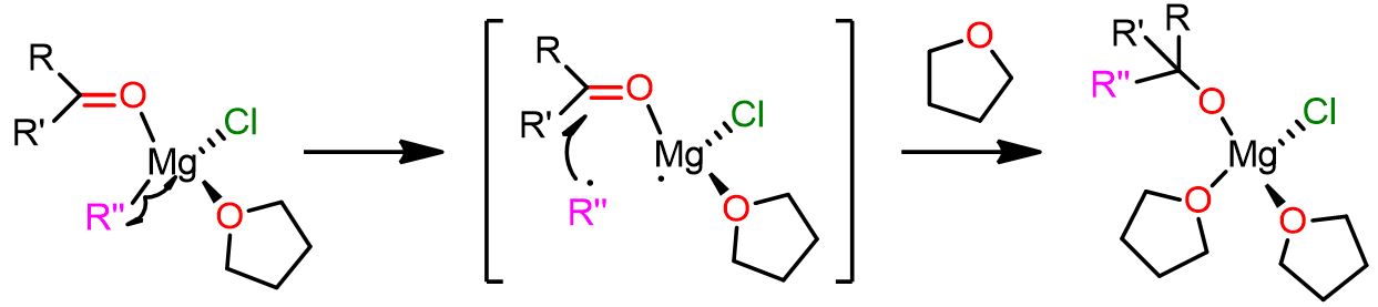 meccanicmo-radicalico