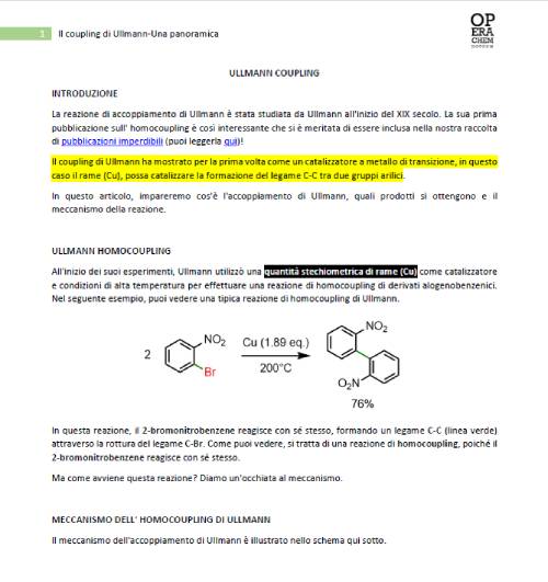 Ullmann coupling-Una panoramica-pdf - immagine 2