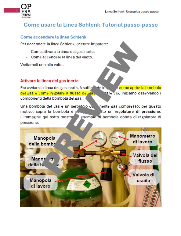 Linea Schlenk in laboratorio–Tutorial passo-passo - immagine 2